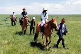 内蒙古白音锡勒牧场：“中国马都”要做网红，流量带来新生活图片