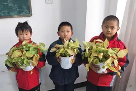 新华全媒+|边远村小“00后”班主任的坚守图片