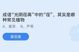 成语光阴荏苒中的荏其是哪种常见植物？蚂蚁庄园7.25今日答案图片