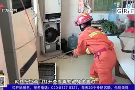 中山：眼镜毒蛇躲入家中 消防队员出动抓捕