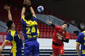 #（体育）（4）手球——全国男子冠军杯：安徽队胜上海队图片