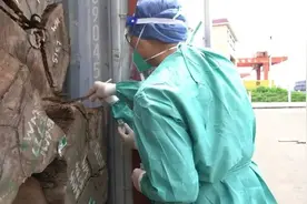 头皮发麻！我国首次截获这种生物图片
