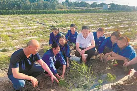 福建援疆故事：山海有约 天山作证图片