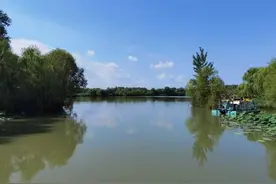 济西湿地公园，风景这边独好图片