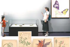 北京自然博物馆：珍藏百年植物科学画亮相，作者成谜图片