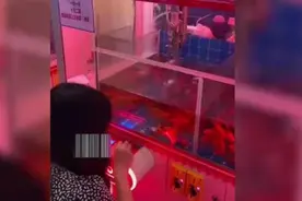广州现活体动物娃娃机！放置活鱼和乌龟 有人觉得新鲜有人忧虑图片
