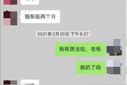 作绝育手术时得知，养了8个月的银渐层公猫其实是只母猫……铲屎官怒了图片