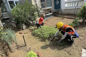 一楼住户毁绿圈地建成自家小花园，崂山执法人员清“顽疾”图片
