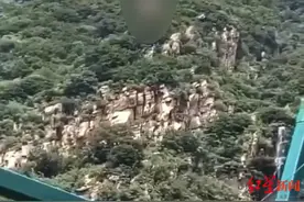 “步步惊心”网红游乐项目连发事故：安全质量标准几近空白，每一步都走得“惊心”图片
