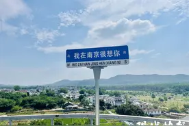 “想你”风吹到南京，“我在南京很想你”路牌成网红打卡地图片