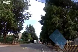 30秒丨男孩过马路时突然折返被车撞 交警判定：负事故同等责任图片