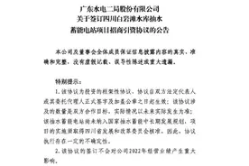 百亿大动作！这家水电公司出手了图片