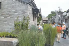 北京东城区黄化门街35号院违建拆了，“美丽院落”美到居民心坎儿里图片