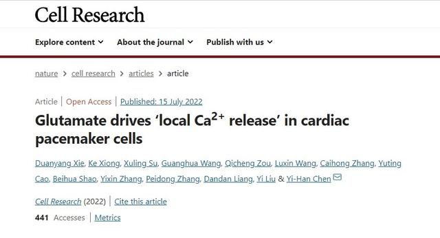 我国学者发现心跳“发动机”的“点火”原理