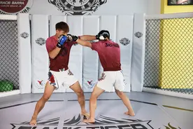 职业选手实战示范，一文看懂综合格斗五大常用技能｜科普图片