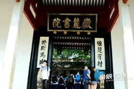 星辰文艺 | 云盖山人：微信寄语新进大学的乖孙子图片