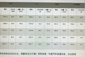 豪车业务有多赚钱？同是营收千亿级经销商，中升净利润是广汇五倍图片