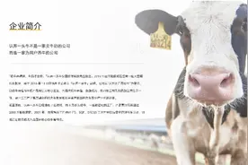 招股书里的认养一头牛：纯牛奶一度全靠“贴牌”，营销费用高图片