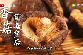 干香菇和鲜香菇，哪个更有营养？看完才知道，原来这样吃更好！图片