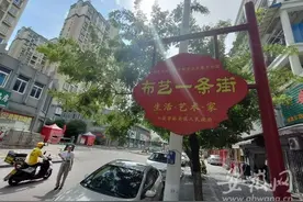 有一种清新的美！六安城区“槐花一条街”花开了图片