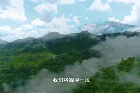 真实的“荒野求生”，他们坚持了240天……图片