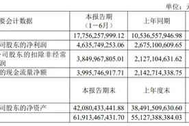 药明康德上半年净利超46亿元，二季度营收环比增9.5%图片