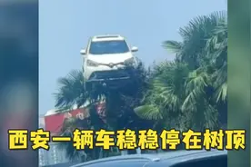 西安一辆车稳稳停在树顶，过路司机一脸懵：怎么飞上去的视频封面
