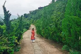 苏雨散文：七月图片