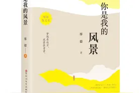 《你是我的风景》，记录一位企业经理人、“打工作家”对人生的深刻感怀图片