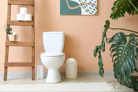 厕纸到底能不能扔厕所？终于有答案了图片