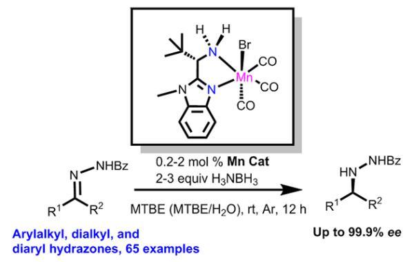 兰州化物所在锰催化腙碳氮双键不对称转移氢化研究中取得进展