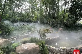 开园倒计时 实地探访首个“无蚊公园”“招蚊”记者真没被咬 背后藏着这三大“宝”图片