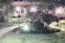 珠海一外卖员在小区内踩踏摔打流浪猫致死，6楼住户听惨叫声下楼呵斥图片