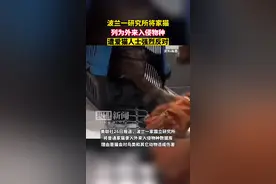 波兰一研究所将家猫列为“外来入侵物种”，爱猫人士：No图片