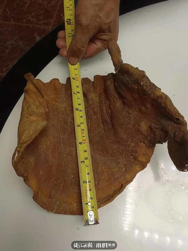 吃花胶后月经量会多吗 吃花胶后月经量会多吗正常吗