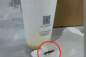 网红奶茶里喝出壁虎？涉事门店已停业自查图片
