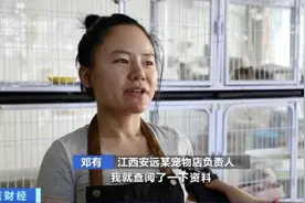 萌翻了！宠物店来了一只受伤的小动物，竟是濒危物种图片