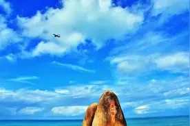 三亚最新一波招聘来啦！涉及国企、研究院、学校...图片