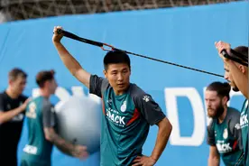 揭秘武磊为何回归中超：家庭原因+中国老板要卖俱乐部图片