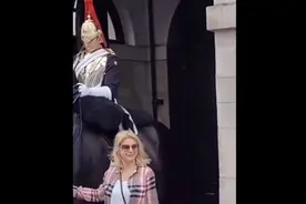 英国皇家卫队骑兵喝斥碰缰绳的游客，视频发布者称“不会再来伦敦”图片