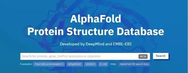 从AlphaGo到AlphaFold，什么是AI工具的最佳用法？