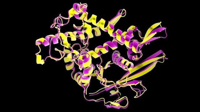 从AlphaGo到AlphaFold，什么是AI工具的最佳用法？