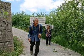 毕节纳雍：万亩藤椒迎来盛产期图片