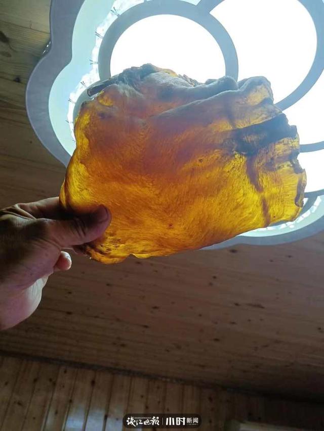 买到普通鱼泡的花胶 2026年买到普通鱼泡的花胶能吃吗