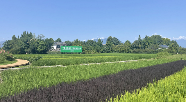 中泰（四川）生态农业产业园正式开园