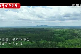 奋斗者·正青春 | 三代护林员把青春献给林场图片
