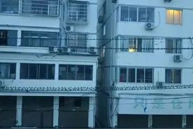 苍南一村庄惊现“奇观”：上万只燕子大聚会，每天傍晚来天亮走图片