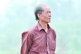 注目南原觅白鹿图片