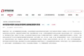 人民建议｜依托武汉引进新能源整车项目 湖北仙桃：将积极对接图片