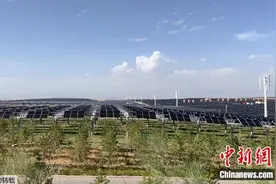 「2022打卡中国」库布其沙漠变绿洲：一场治沙人和黄沙的赛跑图片